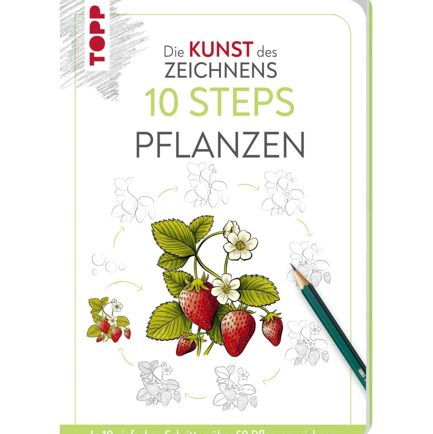 Die Kunst des Zeichnens 10 Steps - Pflanzen