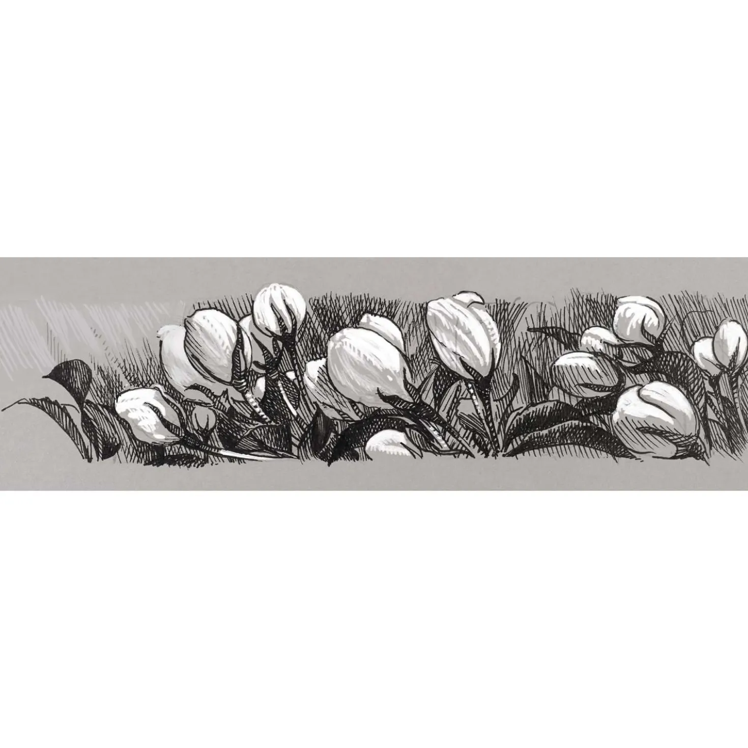 FABER-CASTELL PITT Artist Pen Black & White-Set