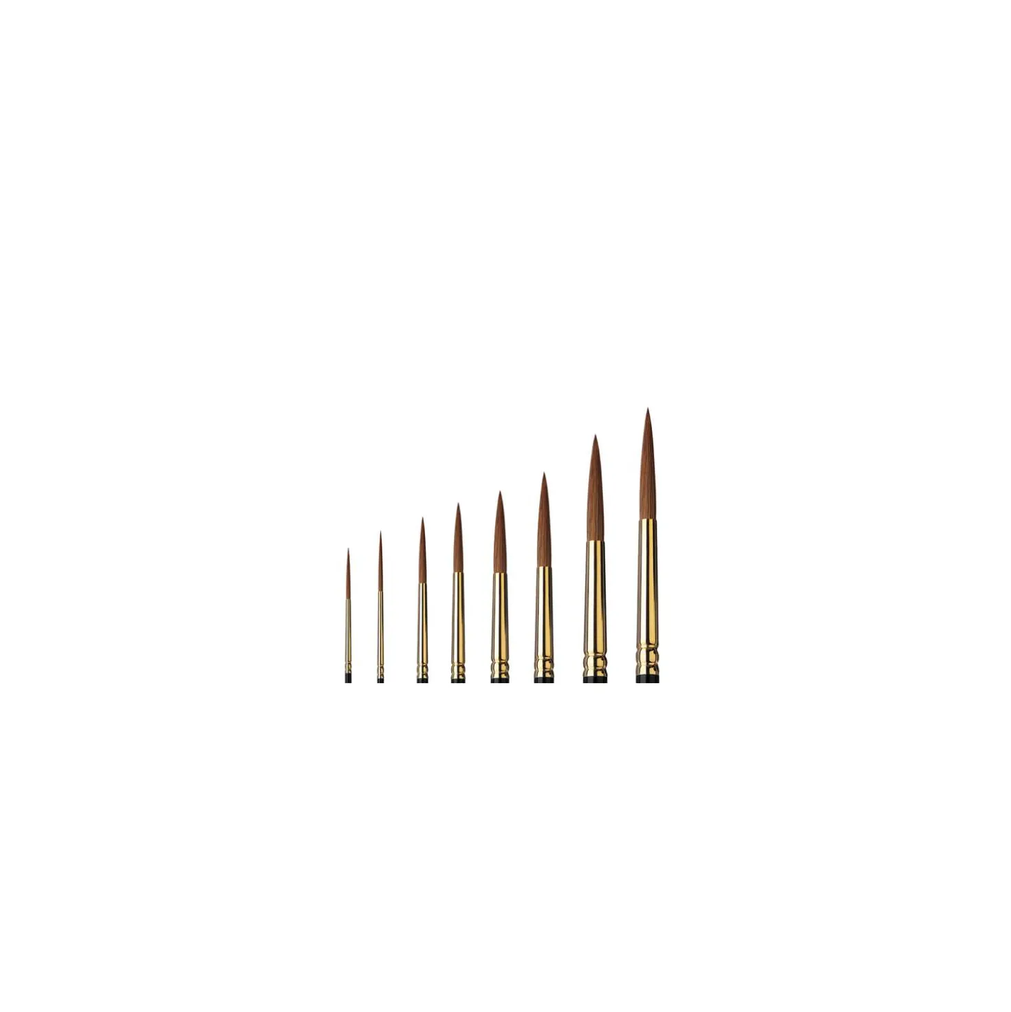 Raphaël® Kolinsky-Gold, Serie 882